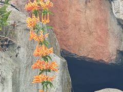 -海口观澜湖火山温泉谷