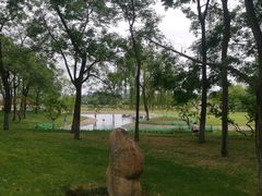 -咸阳湖景区-古渡公园