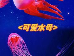 -欢乐海岸海洋奇梦馆