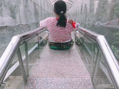 -四会奇石河风景区