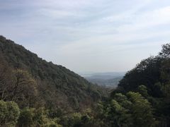 -韬光茶庵