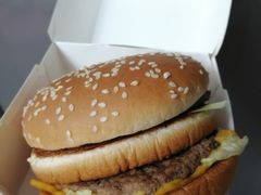 -麦当劳(塔园路店)