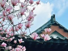 -武汉园博园(武汉自然博物馆)