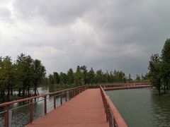 -贡湖湾湿地公园