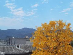 -紫阳古街