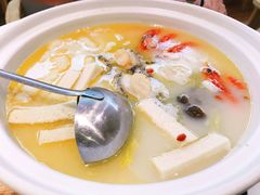 鲍富锅（小）-上关雪東北菜(中房金谊店)