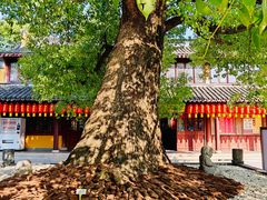-龙华寺