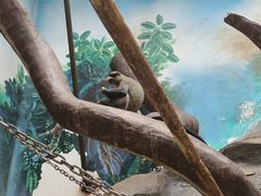 -石家庄市动物园