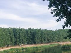 -天津武清北运河郊野公园房车露营地