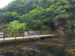 -牛鱼嘴原始生态风景区