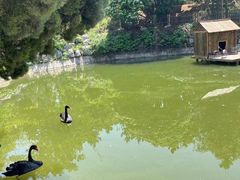 -无染寺