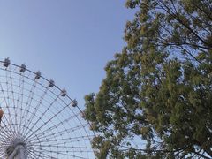 -横店影视城梦幻谷园区