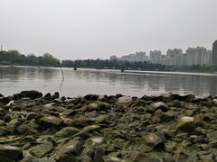 -南翔镇银翔湖公园