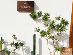 店内布置-AHAVA·Fang Baking Studio