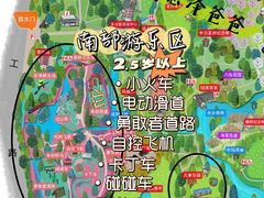 -上海共青森林公园