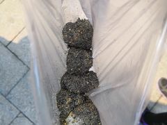 -叶氏麻糍(鼓浪屿店)