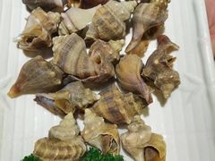 -国惠大酒楼(宝龙店)
