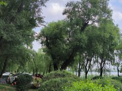 -长春市南湖公园