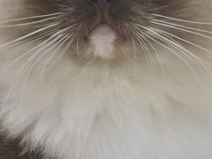 -佳雯宠物医院·皮肤科·内外科(春晓路分院)