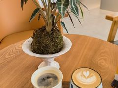 -Northand Coffee(来福士店)