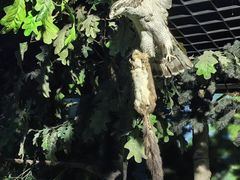 -吉林省自然博物馆