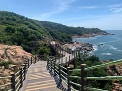 -广东惠东海龟国家级自然保护区