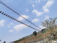 -绵阳盛世樱花悠乐谷