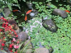 -园林美食城·本土农家菜(杨和镇店)