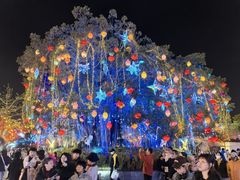 -厦门园林博览苑