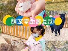 -郑州方特梦幻王国