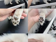 -comecome来吧宠物(奥克斯中心店)