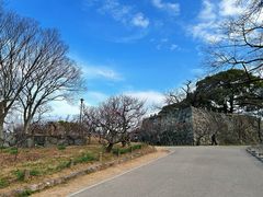 -舞鹤公园
