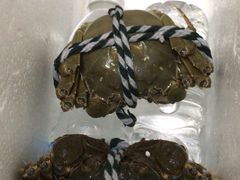 -黄记大闸蟹专卖店·活蟹·醉蟹
