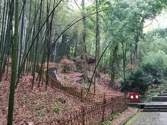 -岳王庙