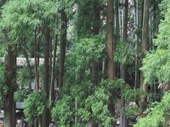 -雁荡山大龙湫景区