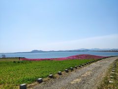 -烟墩角天鹅湖