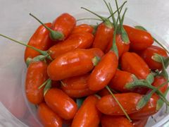 -尕胡才炕锅烤羊肉馆(八一路店)