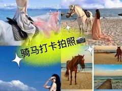 -玫瑰海岸文化旅游度假区