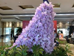 -厦门悦华酒店