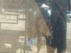 -一盏明灯全素斋(殊像寺店)