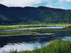 -腾冲北海湿地