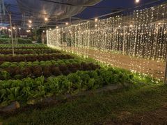 -Ohkajhu Organic Farm Sansai