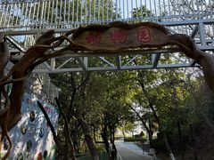 动物园入口-攀枝花公园