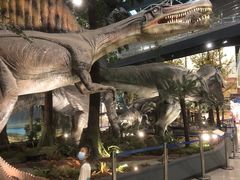 -湖南省地质博物馆