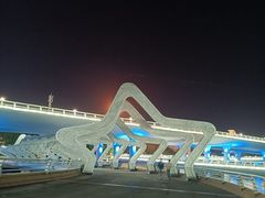 -演武大桥观景平台