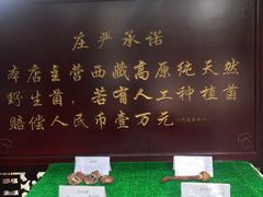 -生宇山珍野生菌汤锅•始于1999(双流古塔店)