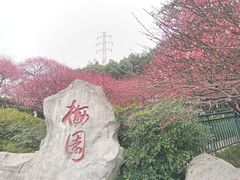 -重庆彩云湖湿地公园