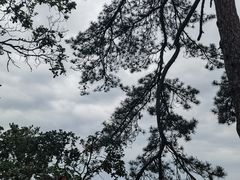 -塔云山