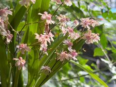 -街角 T·COFFEE 融合料理·BISTRO(车公庙店)