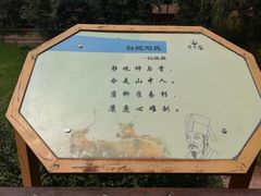 -北京麋鹿生态实验中心